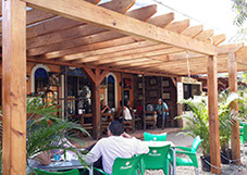 people_at_the_bar
